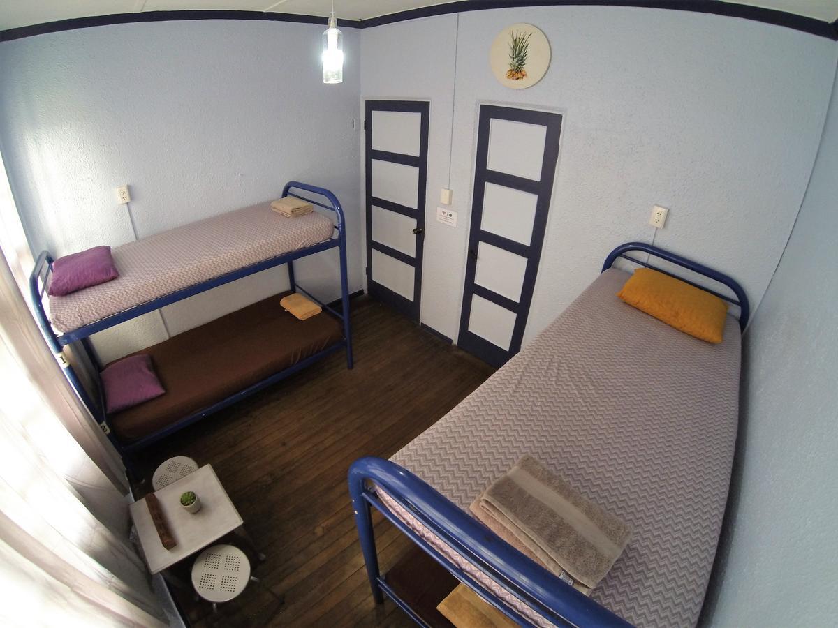 Relax Hostel Σαν Χοσέ Εξωτερικό φωτογραφία